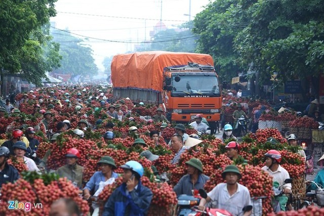 Vải thiều chợ Kép bị tắc nghẽn ở Quốc lộ 31 thời điểm chính vụ tháng 6/2014