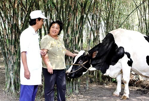 Vinamilk cam kết thu mua sữa nguyên liệu với giá không đổi