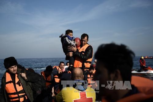 Người di cư tới đảo Lesbos của Hy Lạp sau hành trình vượt biển Aegean từ Thổ Nhĩ Kỳ ngày 8/12/2015. Ảnh: AFP/TTXVN
