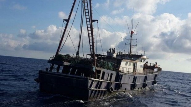 Ảnh minh họa. (Nguồn: Stop Illegal Fishing)