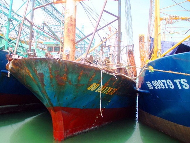 Thép thân vỏ không đúng chủng loại, thiết bị hàng hải không đảm bảo chất lượng, máy chính không đúng với công bố của hãng,...nhưng đăng kiểm viên vẫn cấp chứng nhận để rồi tàu cá ngư dân Bình Định phải nằm bờ trong chua chát. (ảnh Dân Trí)