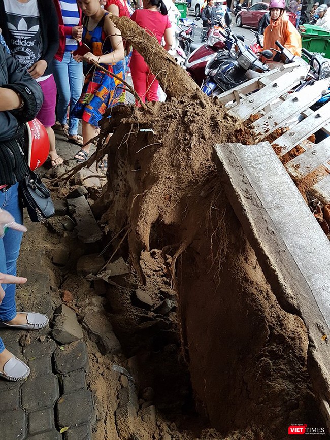 Bão số 12 không đổ bộ, Đà Nẵng vẫn thiệt hại nặng ảnh 10