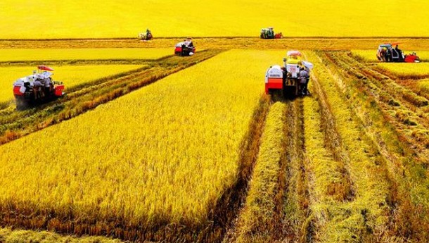 Tích tụ ruộng đất tạo điều kiện cho cơ giới hóa nông nghiệp Tích tụ ruộng đất tạo điều kiện cho cơ giới hóa nông nghiệp