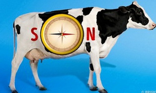 10 bí ẩn khoa học chưa thể lý giải ảnh 3