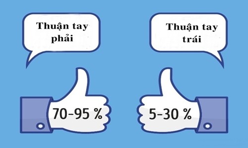 10 bí ẩn khoa học chưa thể lý giải ảnh 6