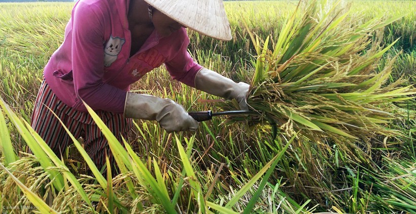 Mẹo giúp chụp ảnh đẹp hơn với điện thoại - Phần 1 ảnh 16