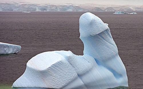 Trong một lần thám hiểm Nam Cực, nhiếp ảnh gia Andy Rouse đã chụp được một tảng băng mang hình dáng nhạy cảm của đàn ông nằm ở eo biểnBransfield, gần Nam Cực.