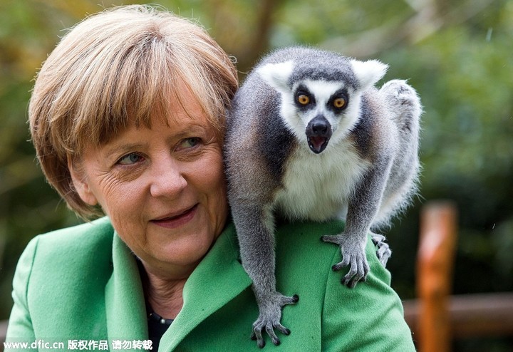 Obama làm đầu bếp, Kim Jong Un đáp chuyên cơ thị sát, bà Merkel chụp ảnh selfie ảnh 8