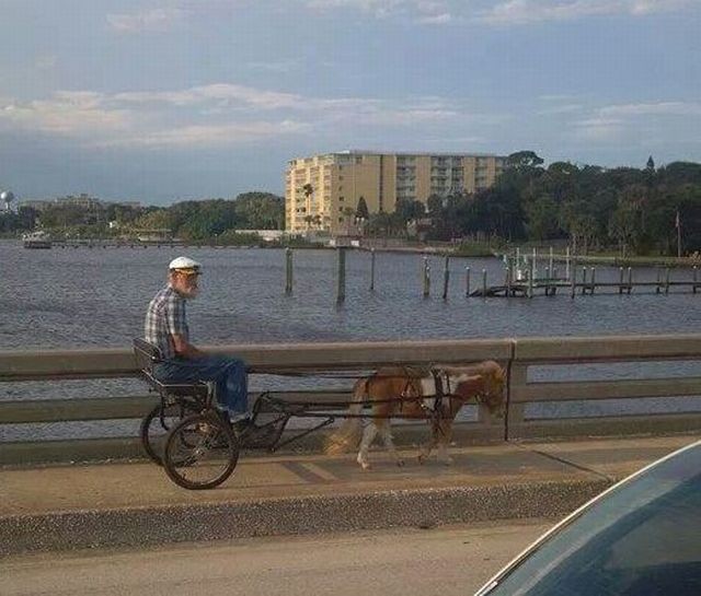 Xe hơi “bầu ngực thiếu nữ” và 1001 kiểu xe độc nhất vô nhị ảnh 2 Xe hơi “bầu ngực thiếu nữ” và 1001 kiểu xe độc nhất vô nhị ảnh 2
