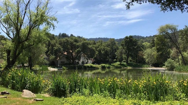 Chiêm ngưỡng bên trong biệt thự đắt nhất tại thung lũng Silicon ảnh 11