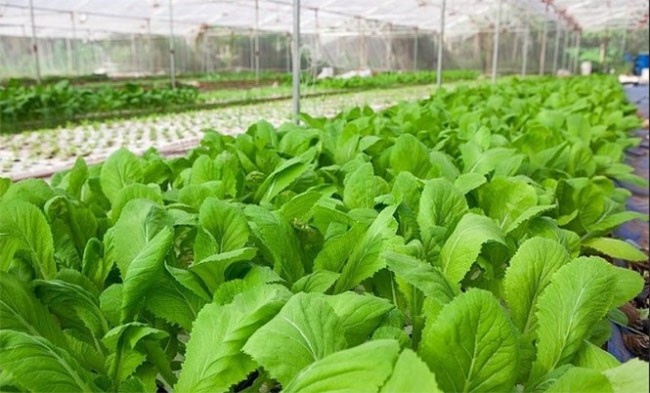 10 trải nghiệm mà những đứa trẻ sinh năm 2018 sẽ không bao giờ có được  ảnh 7