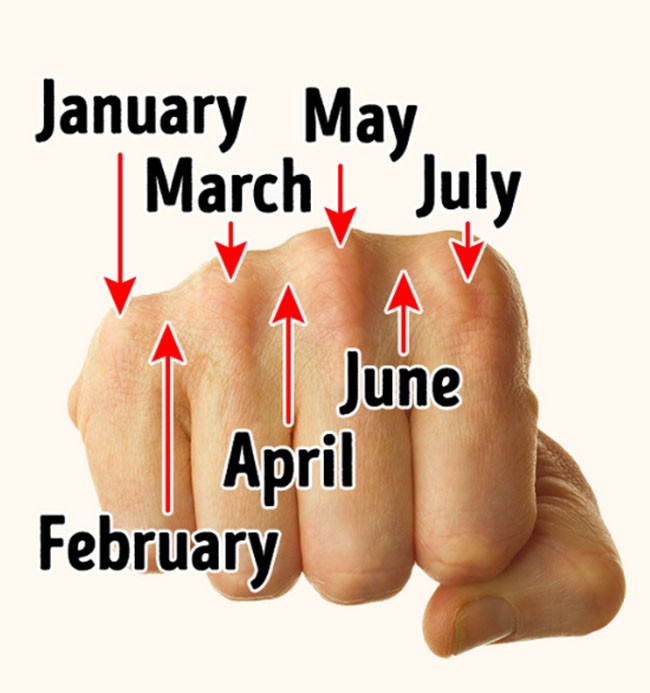 20 sự thật thú vị trong cuộc sống mà không phải ai cũng biết ảnh 2 20 sự thật thú vị trong cuộc sống mà không phải ai cũng biết ảnh 2
