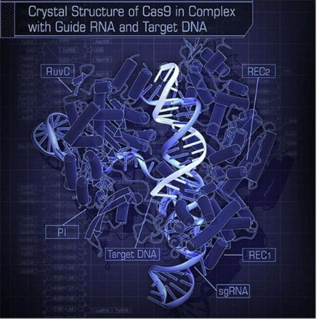 Điểm mặt 5 công nghệ bước ra từ "khoa học viễn tưởng” ảnh 2