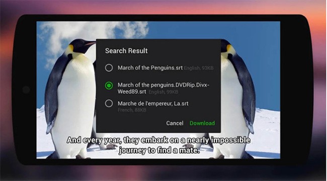 Top 10 trình phát video tốt nhất cho Android ảnh 10