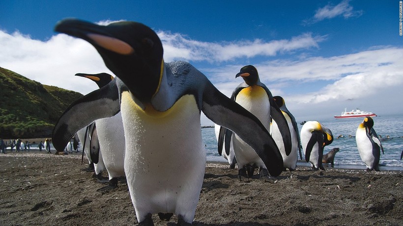 Năm 2018, thế giới sẽ có 11 sự kiện "hot" ảnh 10