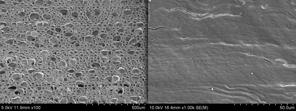 Hình ảnh được cung cấp bởi Đại học Maryland