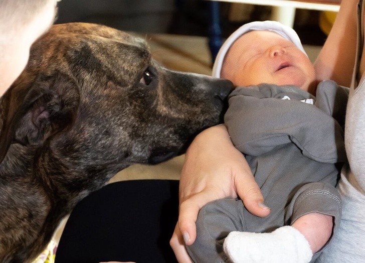 15 bức ảnh hài hước khiến cuộc sống của bạn tươi sáng hơn ảnh 13