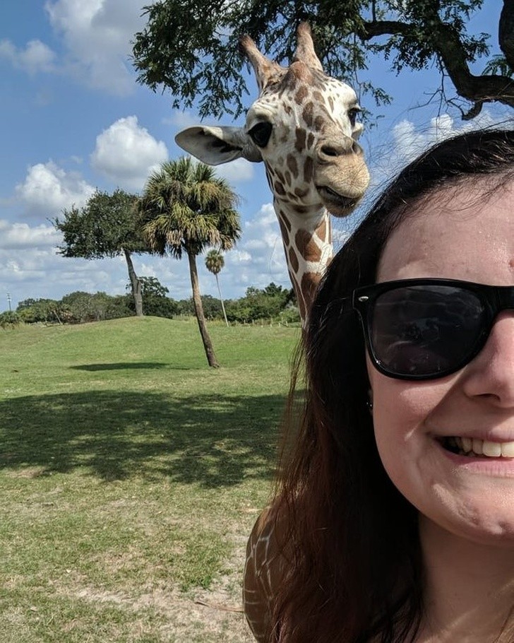 15 bức ảnh hài hước khiến cuộc sống của bạn tươi sáng hơn ảnh 7