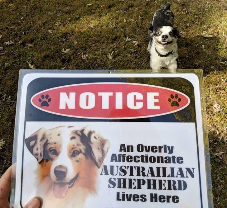 15 bức ảnh hài hước khiến cuộc sống của bạn tươi sáng hơn ảnh 4