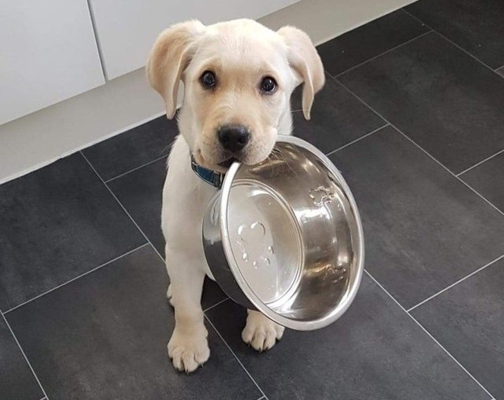 15 bức ảnh hài hước khiến cuộc sống của bạn tươi sáng hơn ảnh 2