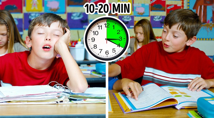 Ngủ trưa có thể ngăn ngừa bệnh tật, cải thiện trí nhớ và tăng tốc độ giảm cân ảnh 1