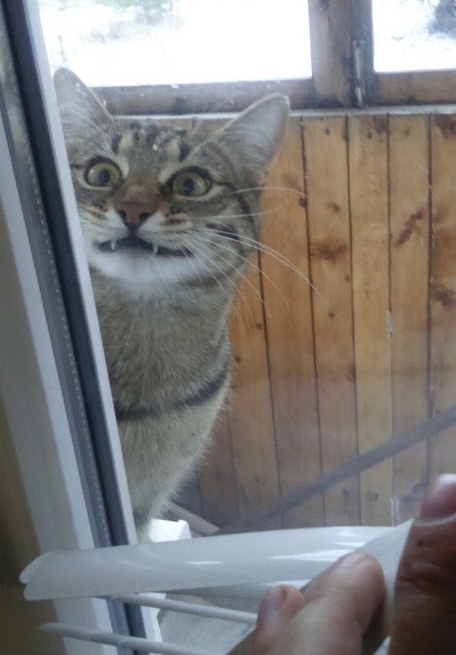 15 bức ảnh chứng minh mùa đông là một thách thức cực lớn ảnh 3