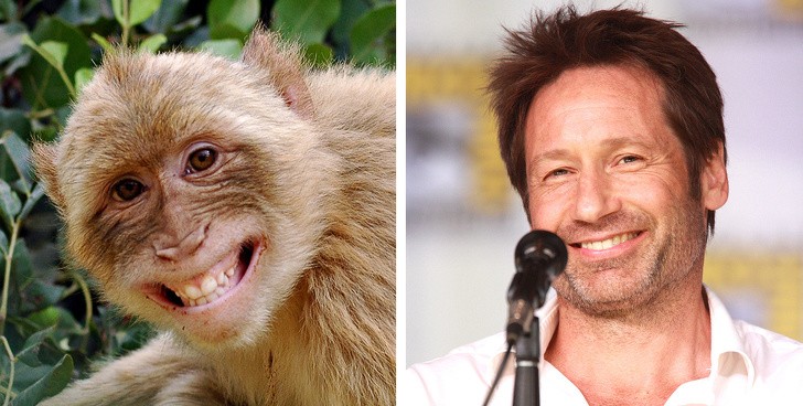 Nguồn: Bright Side Nguồn: Bright Side