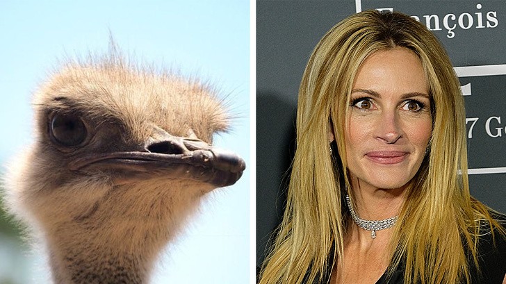 Nguồn: Bright Side Nguồn: Bright Side