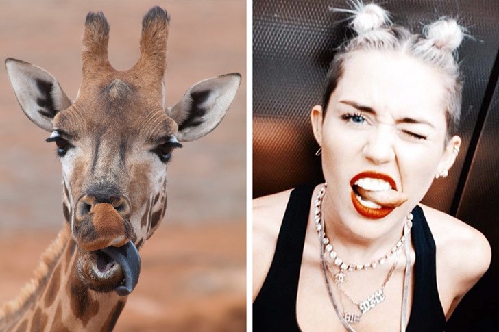 Nguồn: Bright Side Nguồn: Bright Side