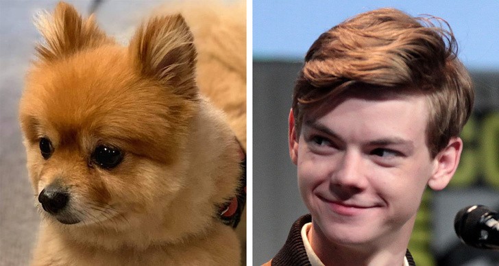 Nguồn: Bright Side Nguồn: Bright Side