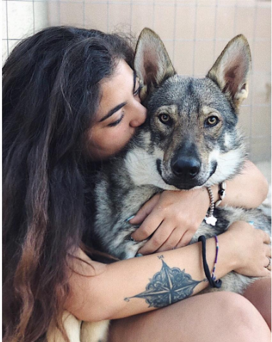 Nguồn: Bright Side