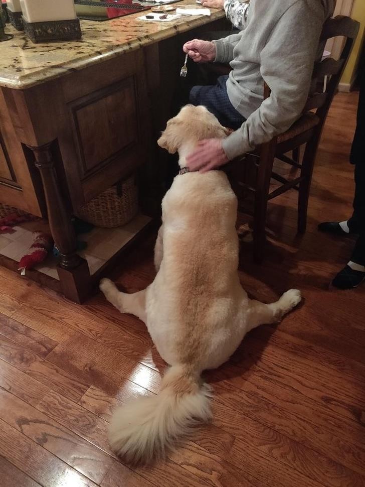 Nguồn: Bright Side Nguồn: Bright Side