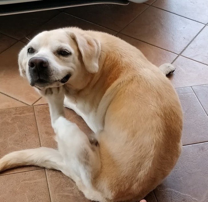 Nguồn: Bright Side Nguồn: Bright Side