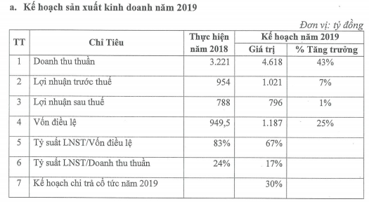 Kế hoạch kinh doanh năm 2019 của CTCP Tập đoàn Hà Đô (Nguồn: HDG)