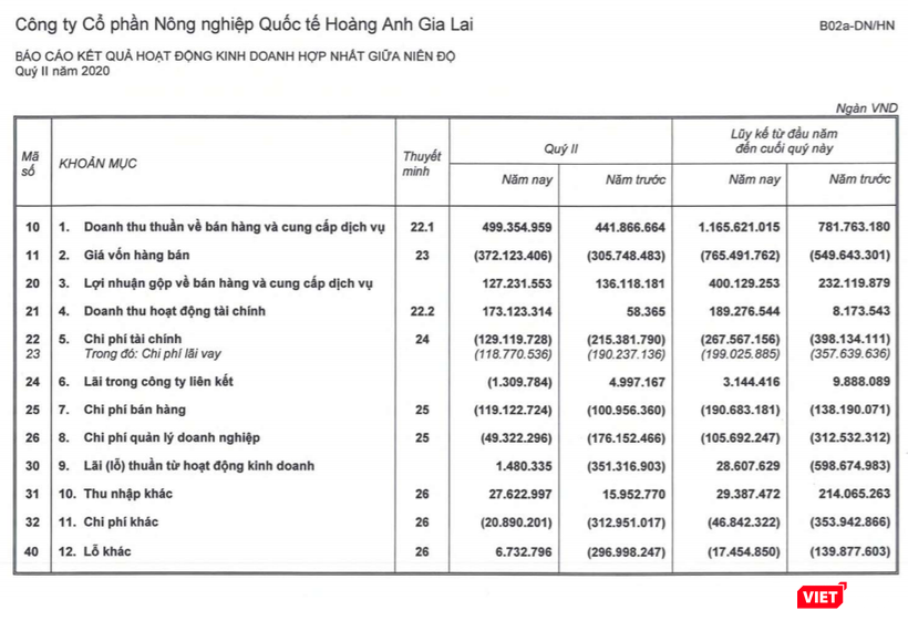 Báo cáo kết quả kinh doanh của HAGL Agrico (Nguồn: HNG)