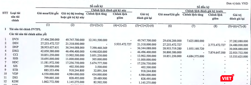 DVN, DSN, DXG đều là các khoản đầu tư lớn của NSI