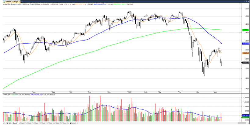 Diễn biến chỉ số VN-Index (Nguồn: Fdata)