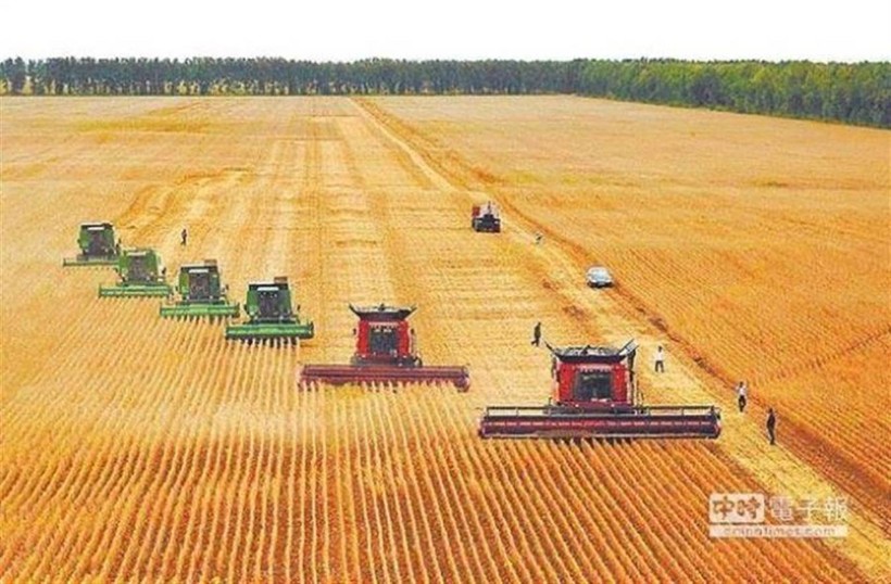 Nông dân Mỹ được cho là chịu ảnh hưởng nặng nề nhất từ thương chiến Mỹ - Trung do Trung Quốc áp đặt thuế quan trả đũa lên nông sản Mỹ Nông dân Mỹ được cho là chịu ảnh hưởng nặng nề nhất từ thương chiến Mỹ - Trung do Trung Quốc áp đặt thuế quan trả đũa lên nông sản Mỹ