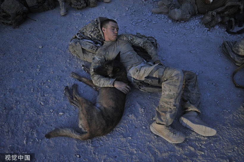 Lính đặc nhiệm Mỹ và quân khuyển nghỉ ngơi trên chiến trường