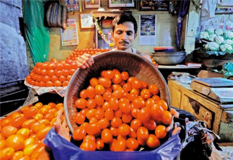 Gia ca chua tang 400%.jpg