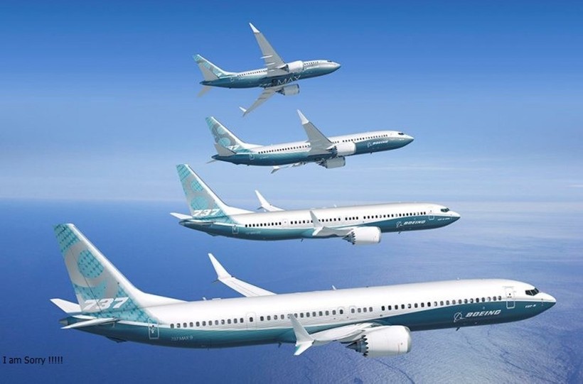 Một số máy bay Boeing 737 MAX có linh kiện được làm từ vật liệu titan giả. Boeing 737 MAX.jpg