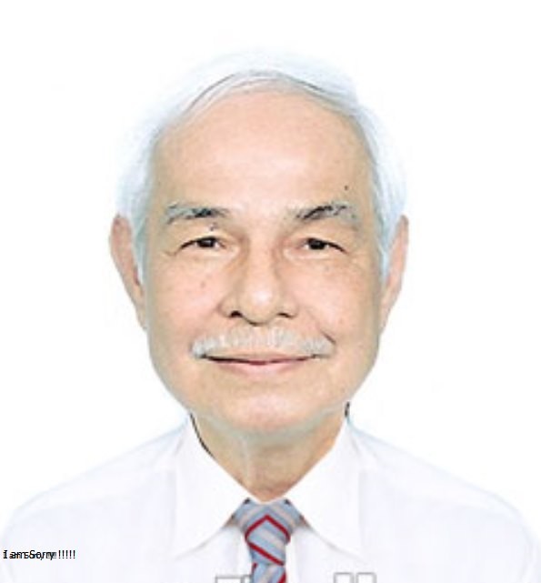 Anh hùng Lê Quang Ninh.jpg