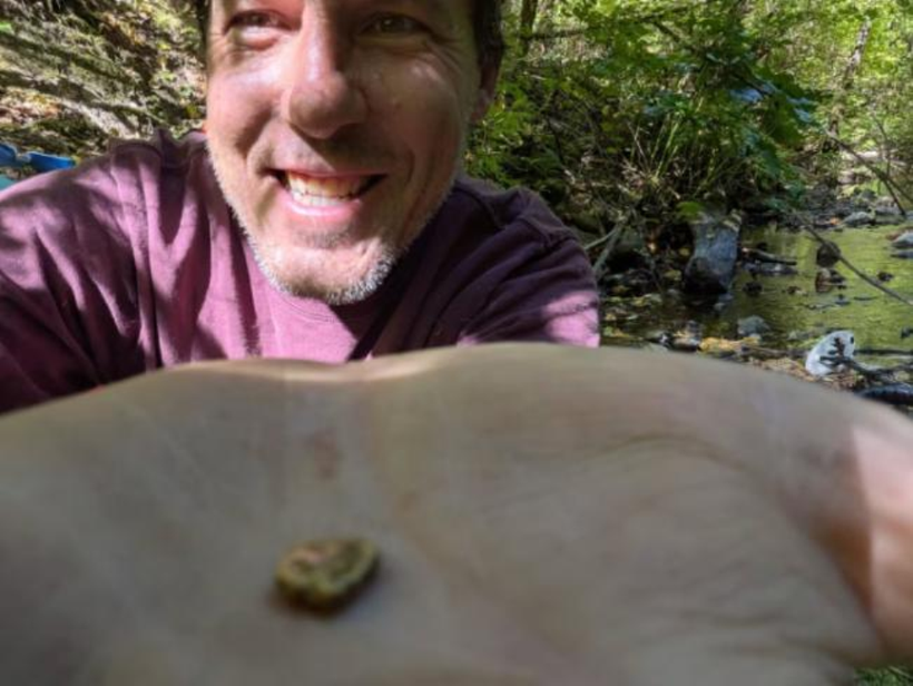 Mike Hewlett tim duoc vang.png