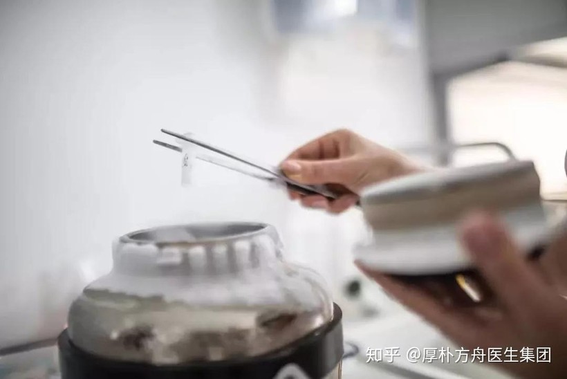 Nguon goc te bao khong ro.jpg