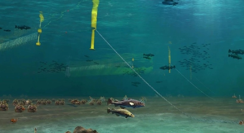 Trang trại điện gió có thể sử dụng các tuabin điện gió nổi. Ảnh minh họa Electrek Trang trại điện gió có thể sử dụng các tuabin điện gió nổi. Ảnh minh họa Electrek