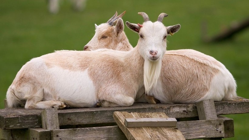 Ảnh minh họa: Mashable