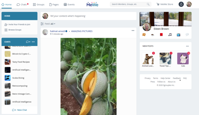 Giao diện MeWe. Giao diện MeWe.