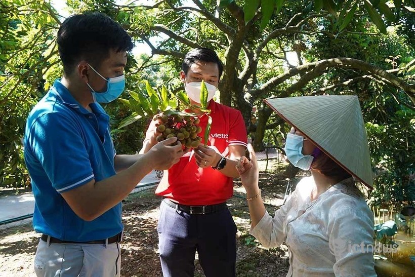 Hai doanh nghiệp linh hoạt trong việc chọn hình thức hướng dẫn nông dân lên kinh doanh trên sàn. Hai doanh nghiệp linh hoạt trong việc chọn hình thức hướng dẫn nông dân lên kinh doanh trên sàn.