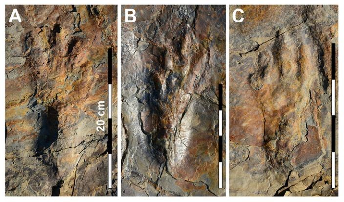 Ảnh: News Info Park