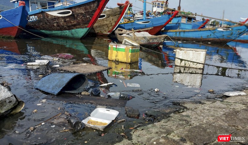 Âu thuyền Thọ Quang ngày càng ô nhiễm